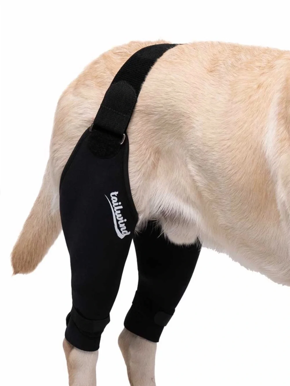 Tailwindpets Double Knee Brace for Dogs Black Size: Ultra Mini NWT IN PACKAGE